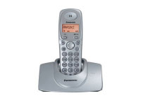 Panasonic KX-TG1100 (KX-TG1100SPS)